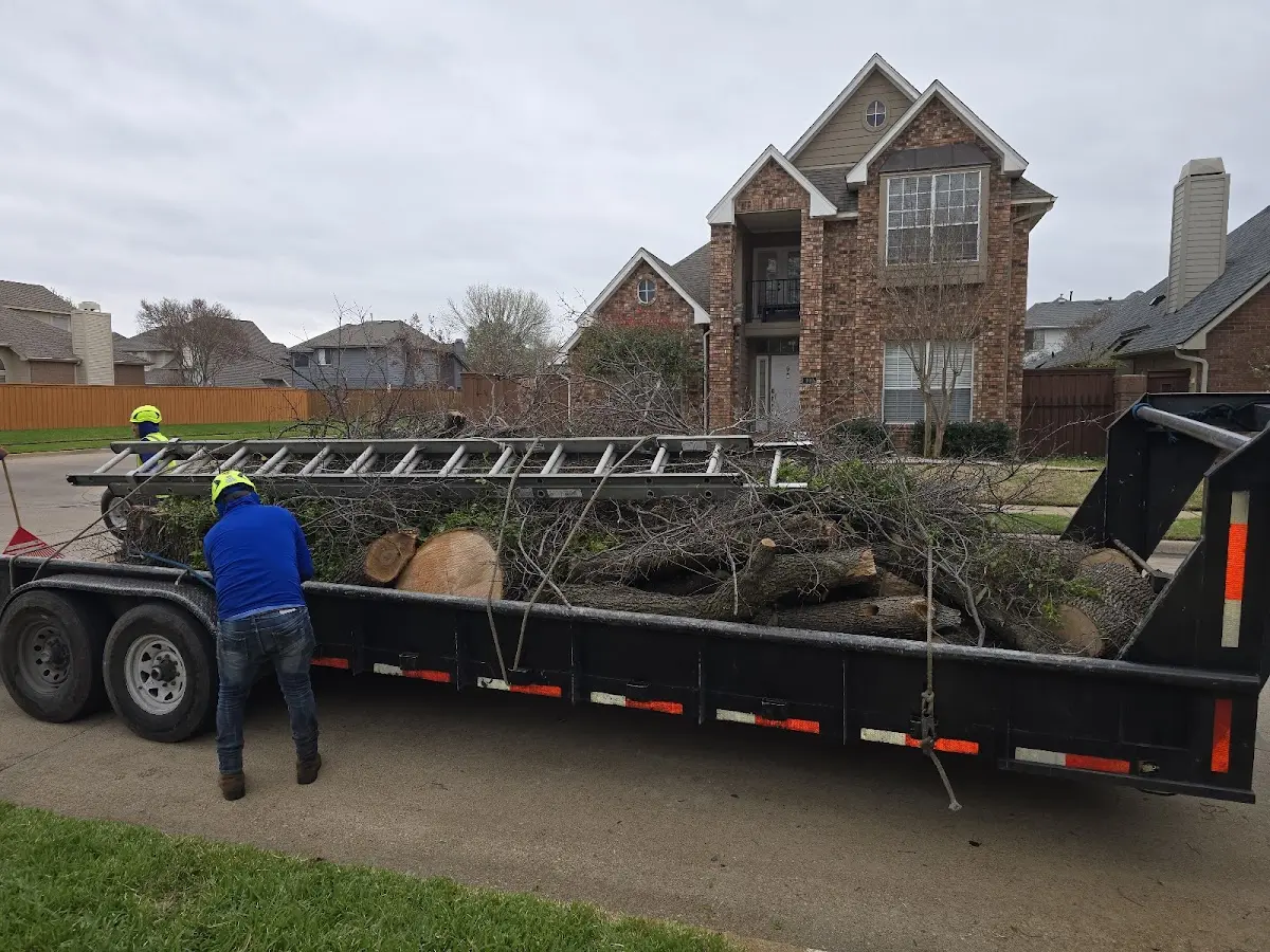 Expert Tree Pest Control with proper safety equipment in Mc Farland